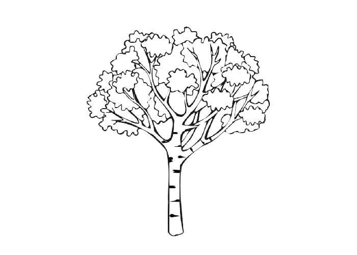 Fall Tree Coloring Page Coloring Pages
