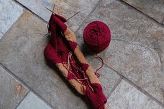 Minerva's Argyles