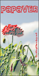 Blog-Event LXXX - Papaver (Einsendeschluss 15. August 2012)