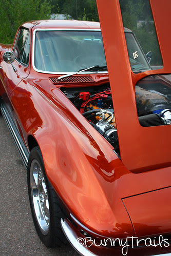 corvette-1