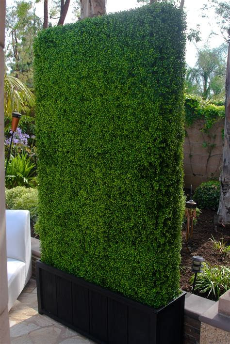 Buy artificial boxwood hedge divider fence wall with black 201 stainless steel planter box (48w x79h x14d): Haie et brise-vue artificiels: quels sont les types
