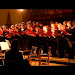 Chris Hutchings Composer Free Download Youtube Mp3 and Mp4