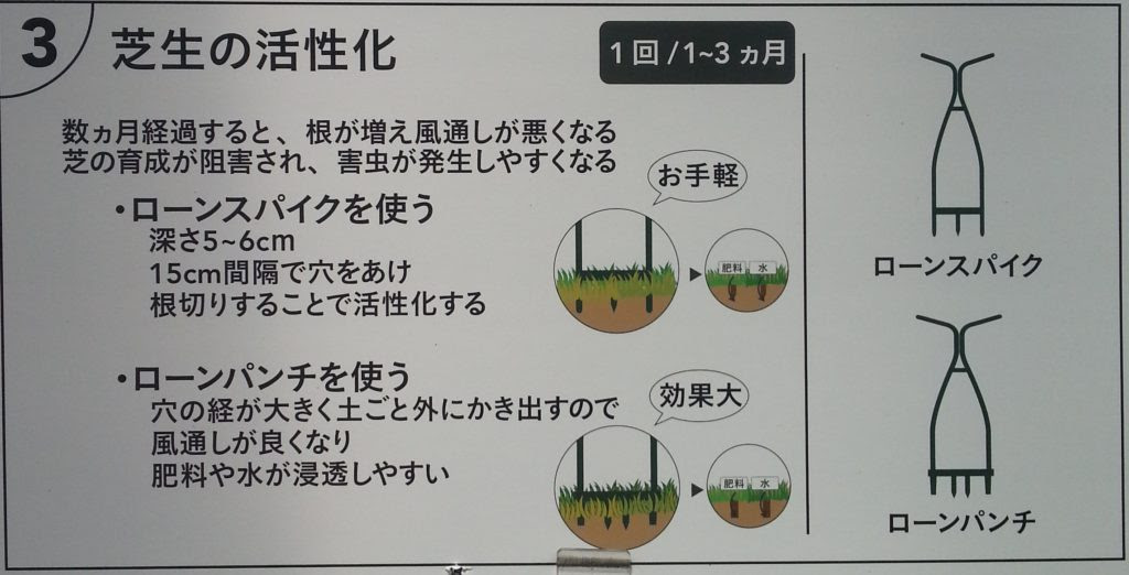 芝のエアレーションについて 子育てママのdiy ファミキャンブログ