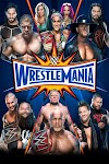 Assistir o filme WWE WrestleMania 33 DUBLADO E LEGENDADO ONLINE 2017 EM
HD online