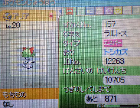 ポケモンプラチナ 19 210番道路 カンナギタウン そうでもない