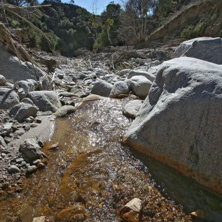 Bottling water without scrutiny
