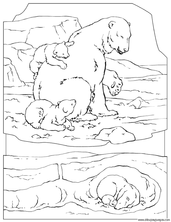 dibujodeosopolar010  Dibujos y juegos, para pintar y colorear