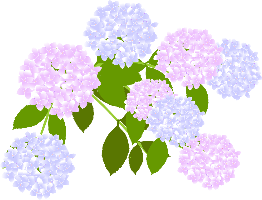 アジサイ イラスト 無料