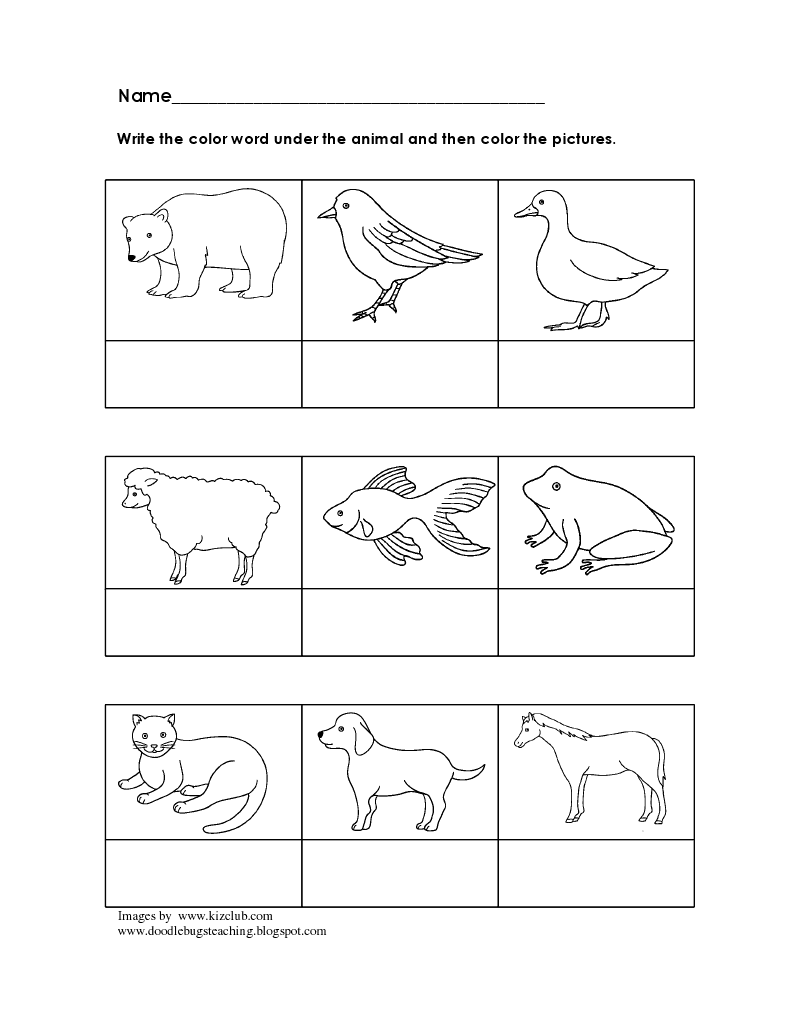 Free Brown Bear Coloring Page Eric Carle Download Free Brown Bear Coloring Page Eric Carle Png Images Free Cliparts On Clipart Library