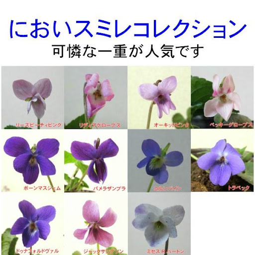 イメージ