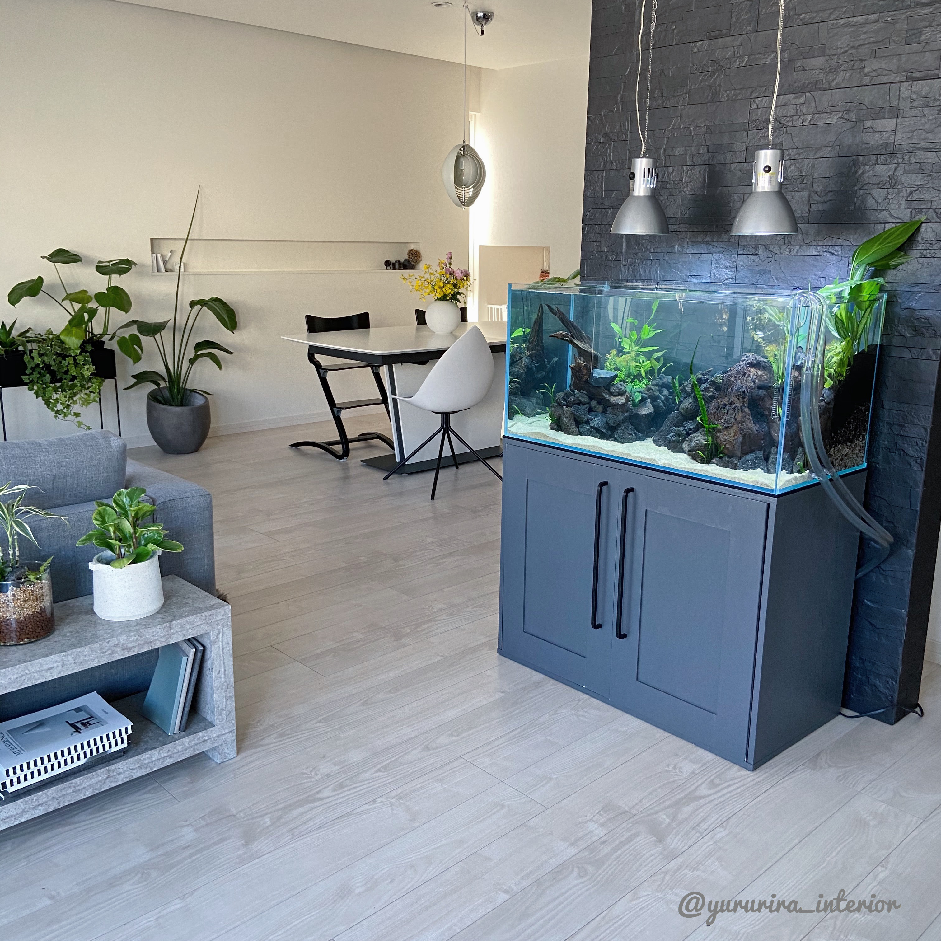 水槽のある暮らし 我が家のネイチャーアクアリウム水槽立ち上げ記録 Yururira S Interior Blog