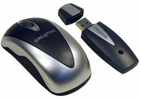 mouse