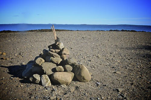 131_GaleZuckerFiberCollege