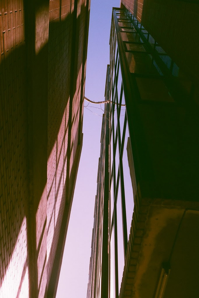 37440019