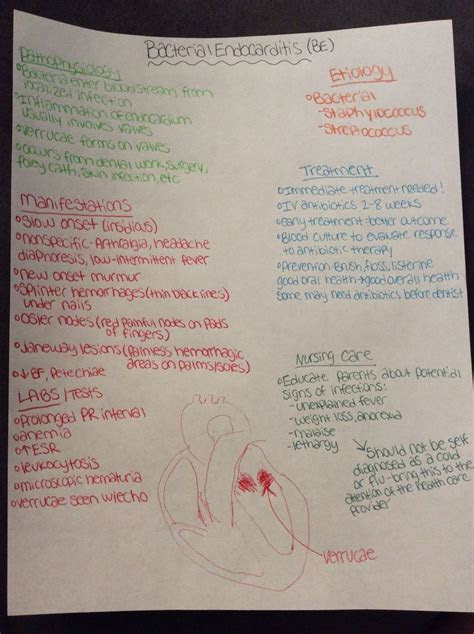 pathophysiology nursing ideas  pinterest med