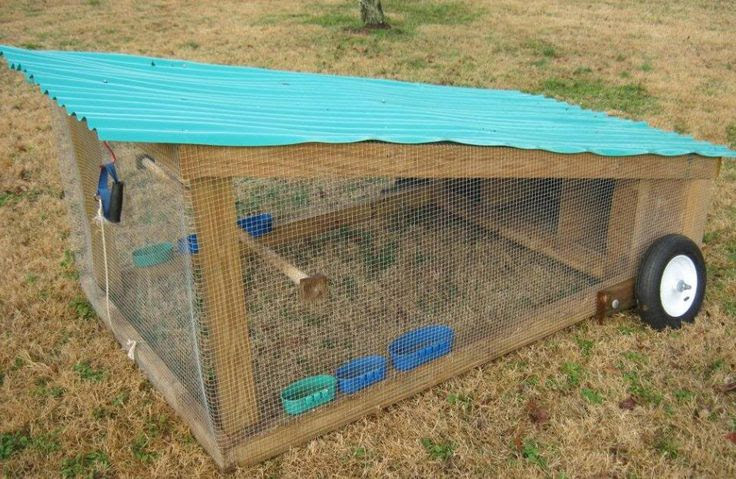 Chicken Coops