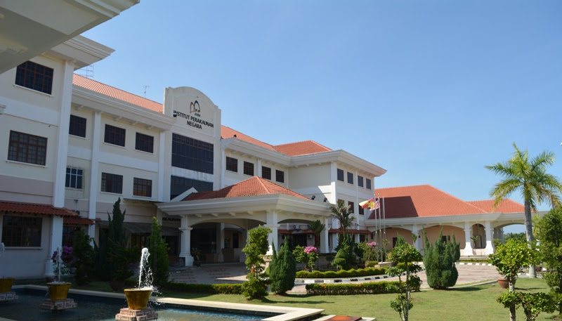 Institut Perakaunan Negara