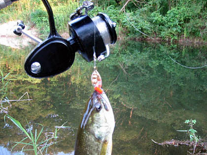 釣行記 リストへ戻る 野ダムの巻pm編 釣行日 03 7 13 天候 曇りのち晴れ 時間 18 30 19 30 水温 未計測 さて 午後に再び野ダムに戻ってきました ちょっと早めに到着してしまったため たこ焼きでも食いながら待つことにする なぜたこ焼きか