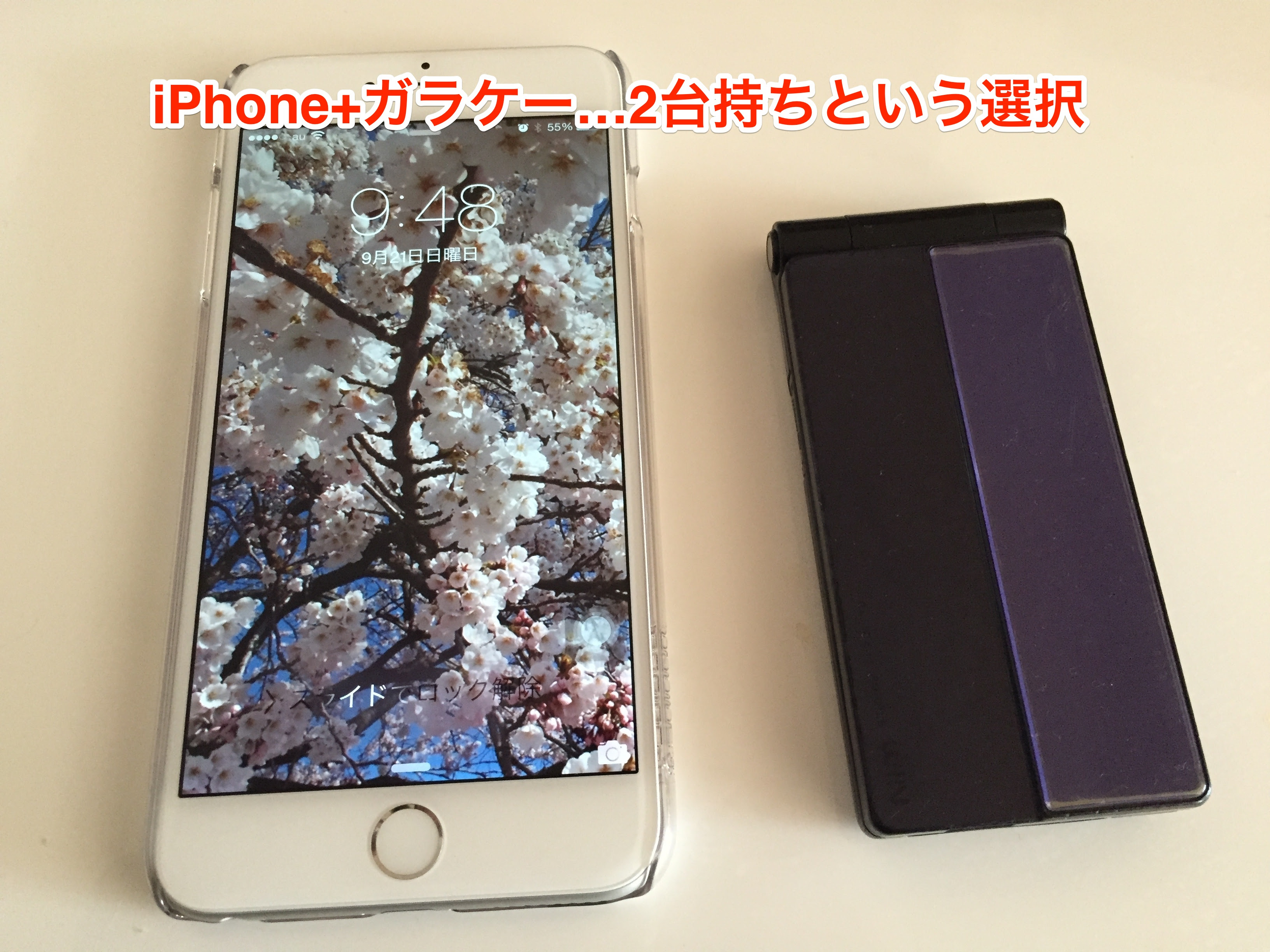 Iphone6simフリー ガラケーの2台持ちは はたしてお得なのか らくたのぶろぐ