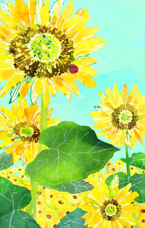 夏のはじまり ひまわり イラスト Hiroe S Gallery