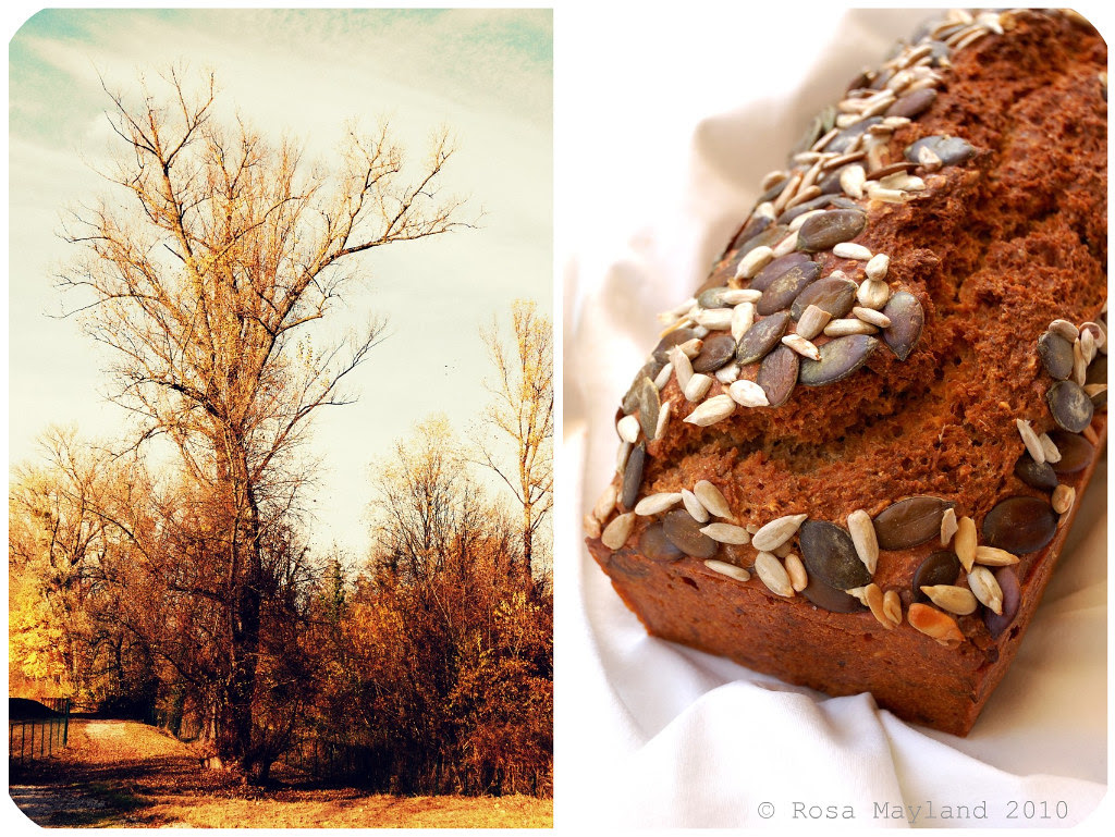 Norwegian Bread Picnik collage 1 bis