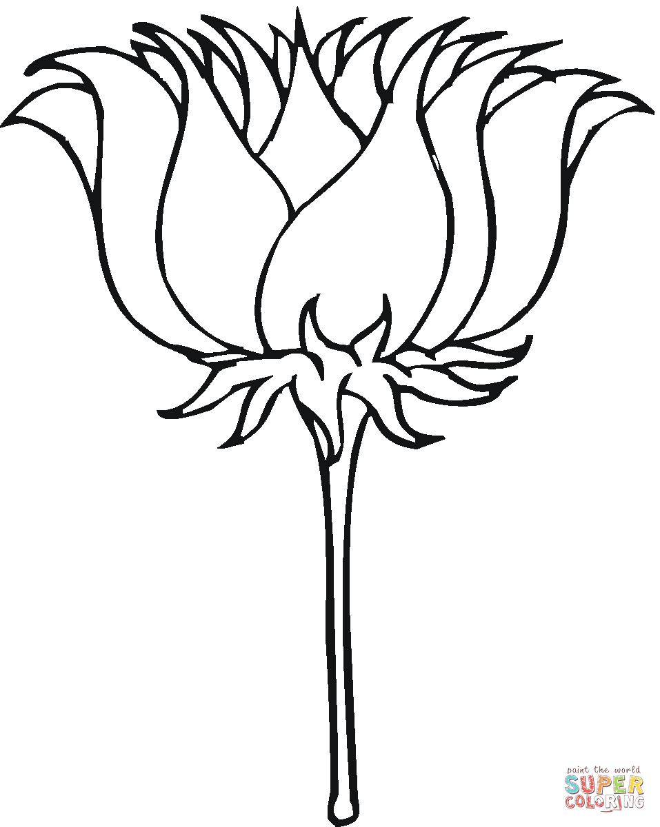 Clicca su disegni da colorare di Bocciolo di fiore di loto