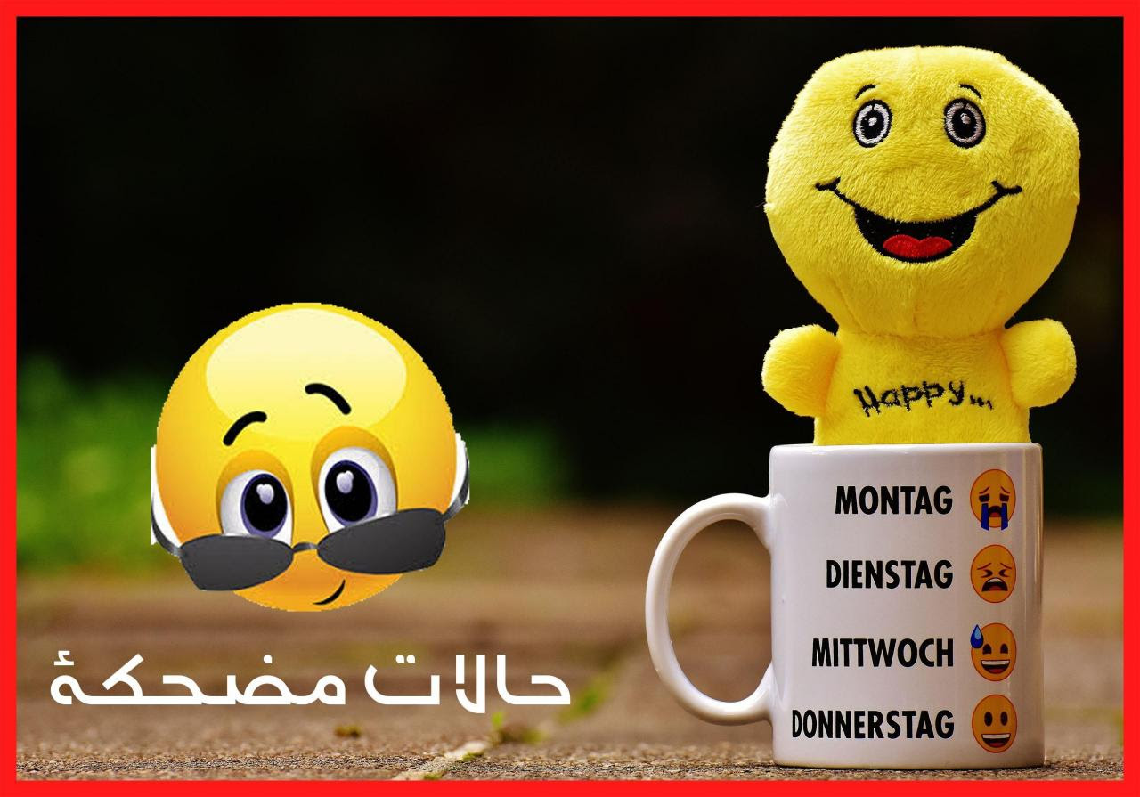 ØµÙØ± ÙØ§ØªØ³ Ø§Ø¨ ÙØ¶Ø­ÙÙ Ø§Ø¶Ø­Ù ÙÙ ÙÙØ¨Ù ÙÙ ØµÙØ± Ø§ÙÙØ§ØªØ³ ØµØ¨Ø§Ø­ Ø§ÙÙØ±Ø¯