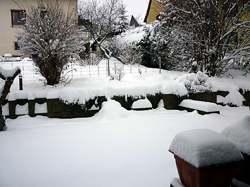 WeißeWeihnacht