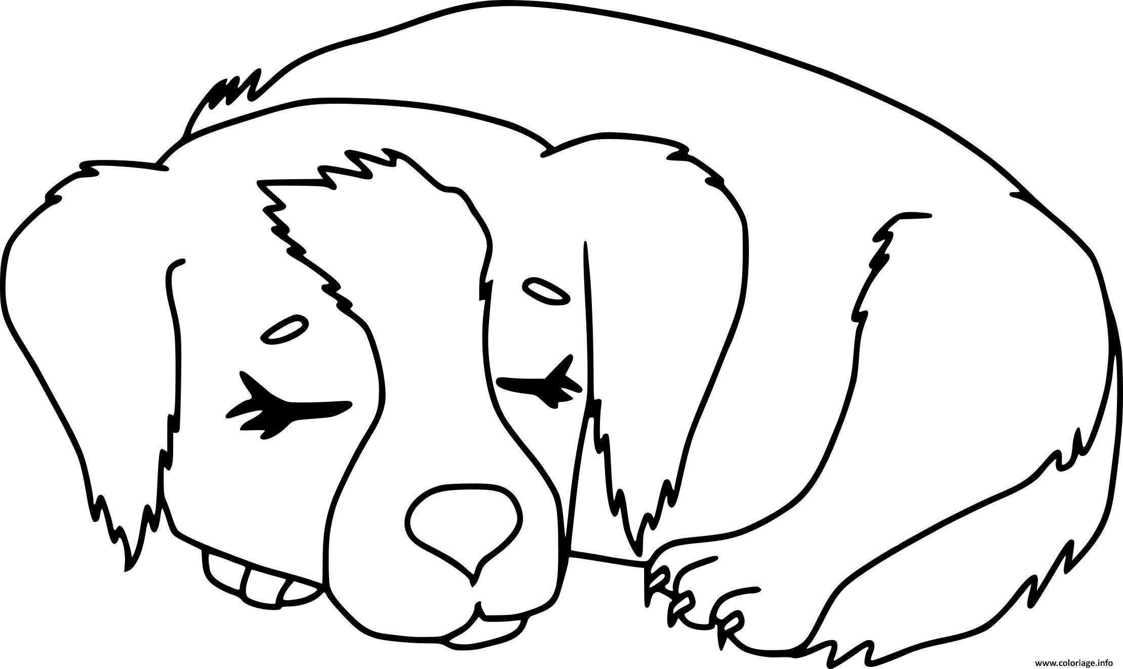 Coloriage Chien Qui Dort Dessin   Imprimer