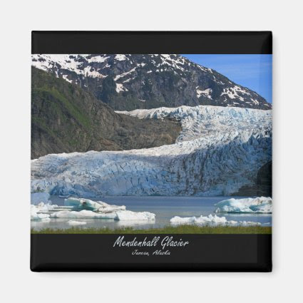 Mendenhall Glacier / Juneau Alaska Refrigerator Magnet