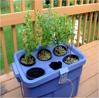 Homemade Hydroponic Systems