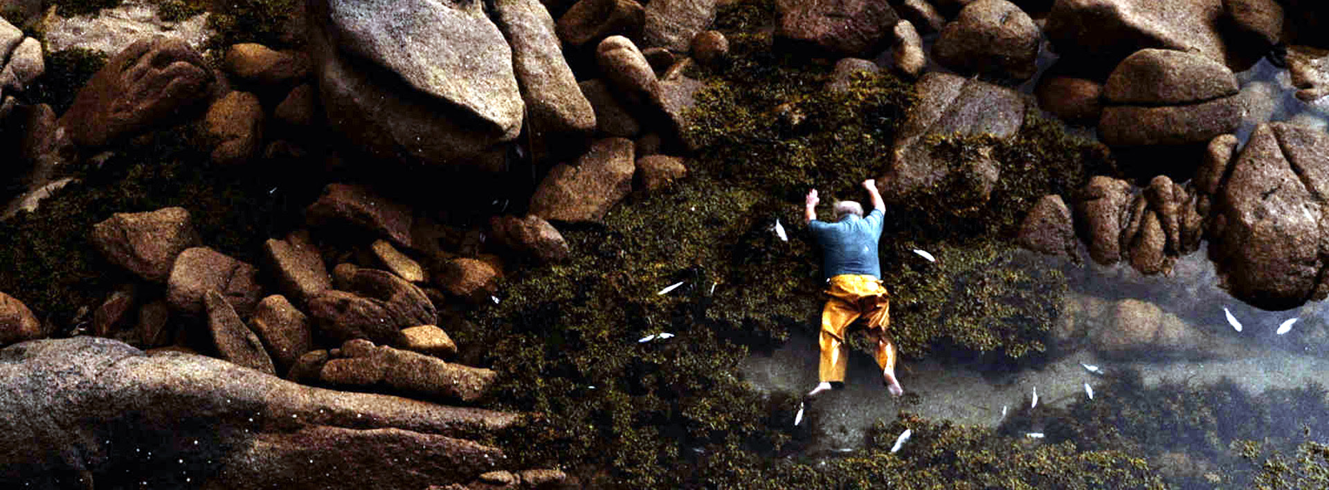 43ª Mostra Internacional De Cinema Movie Red Moon Tide