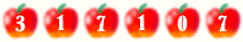 web counter