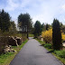 Paving Services Sydney : Domain paving has been creating high quality domestic, commercial, and industrial paving solutions since 1999.