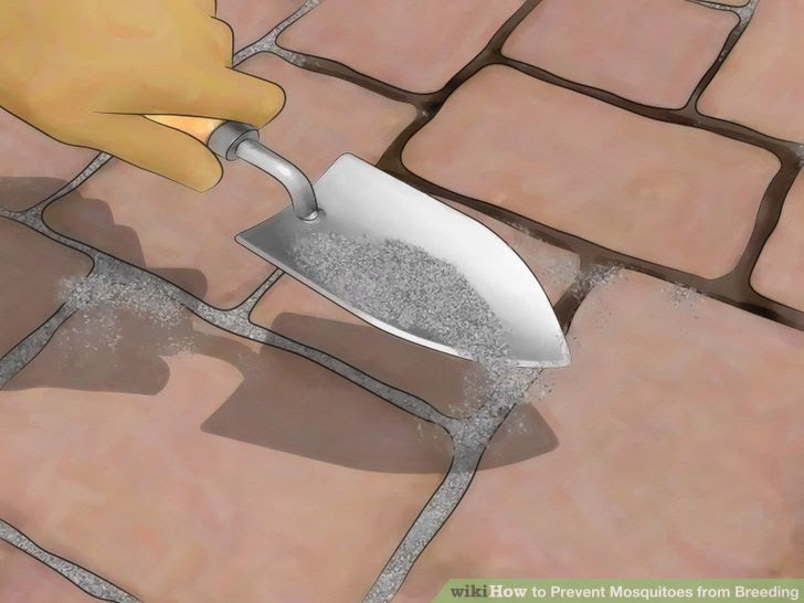Prevent Mosquitoes from Breeding Step 8.jpg