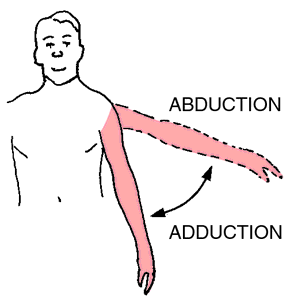  ... - by the Free Online Medical Dictionary, Thesaurus and Encyclopedia