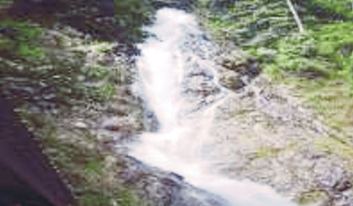 Gambar