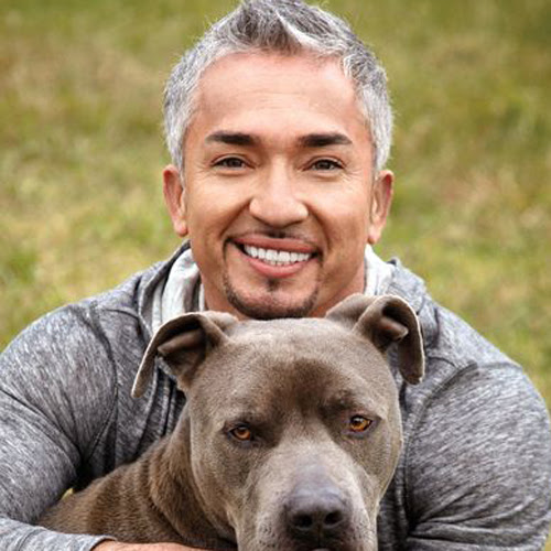 世界中が注目 カリスマドッグトレーナー シーザー ミラン氏 の正体とは 犬の総合情報サイト ペットスマイルニュースforワンちゃん