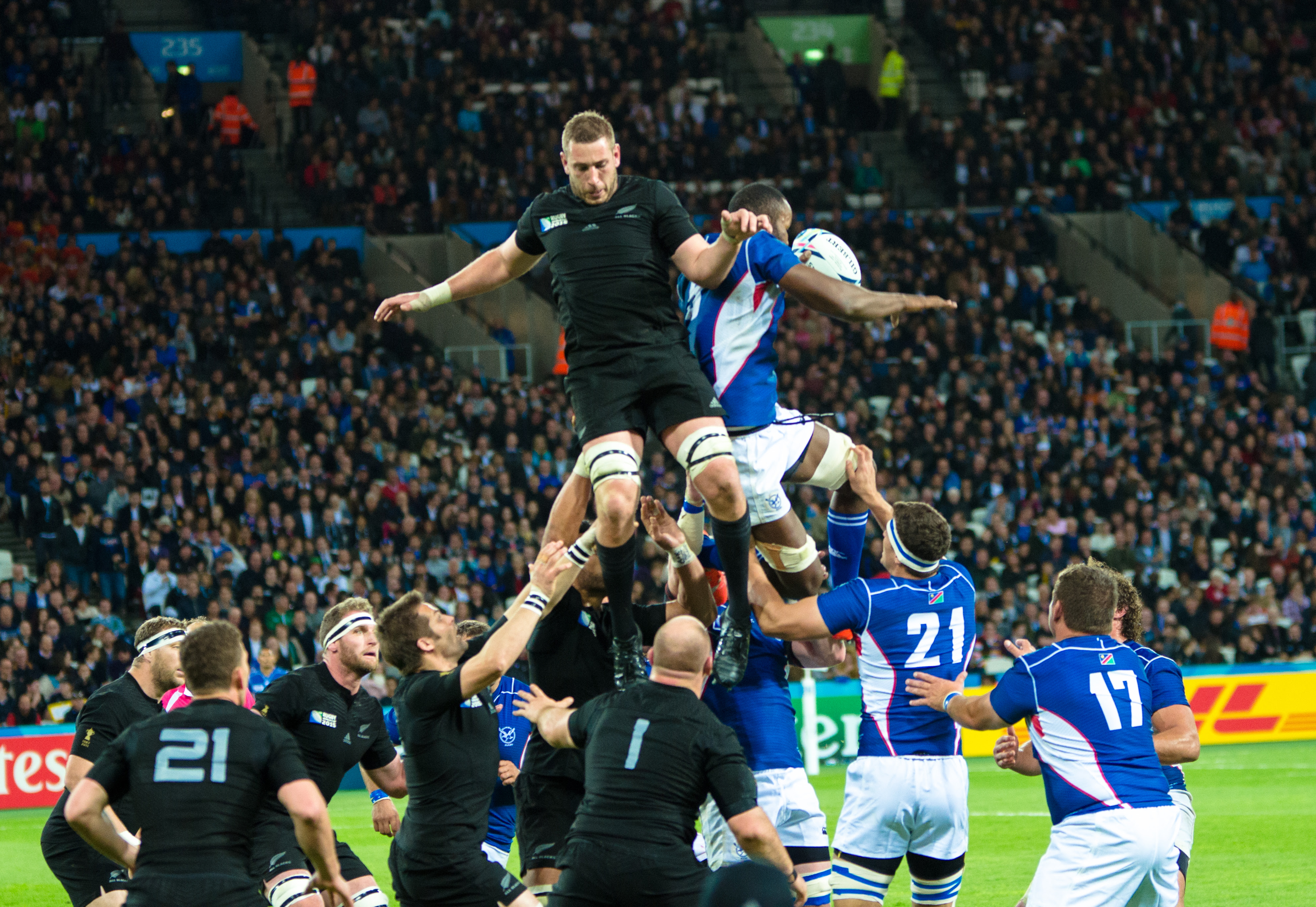 News On Wikipedia Wallabies And All Blacks Set Up All Australasian Rugby World Cup Final Jakemartcorp