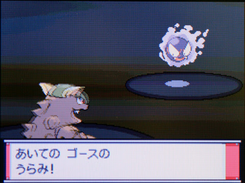 ポケットモンスターハートゴールド プレイ日記その２８ ポケモン育成 実践レポート