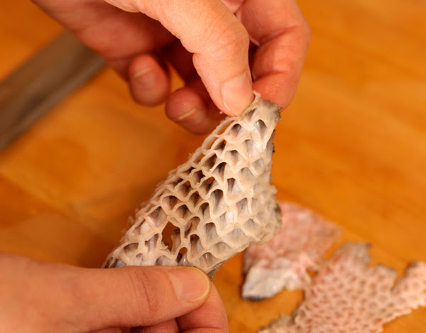 長崎産 巨大クエ鍋の準備の仕方 うまいもんblog