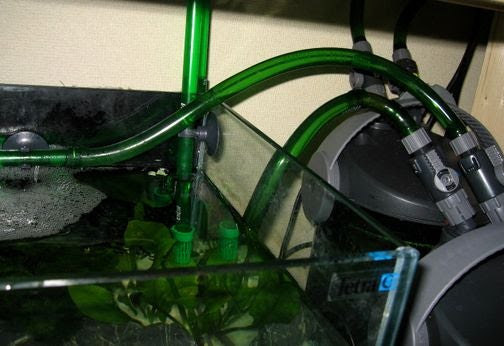 良い子はマネしないでね アクアリウム症候群