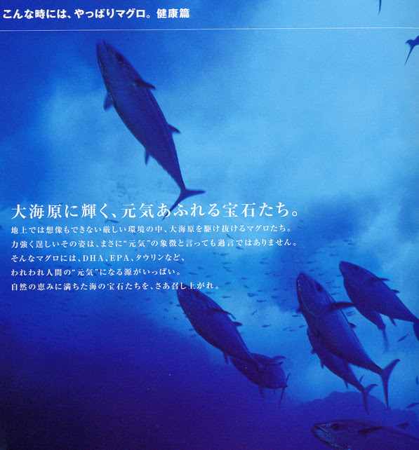 マグロの知られざる生態 時速160kmで泳ぐ海のチャンピオン