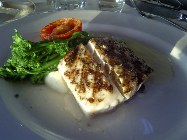 Halibut