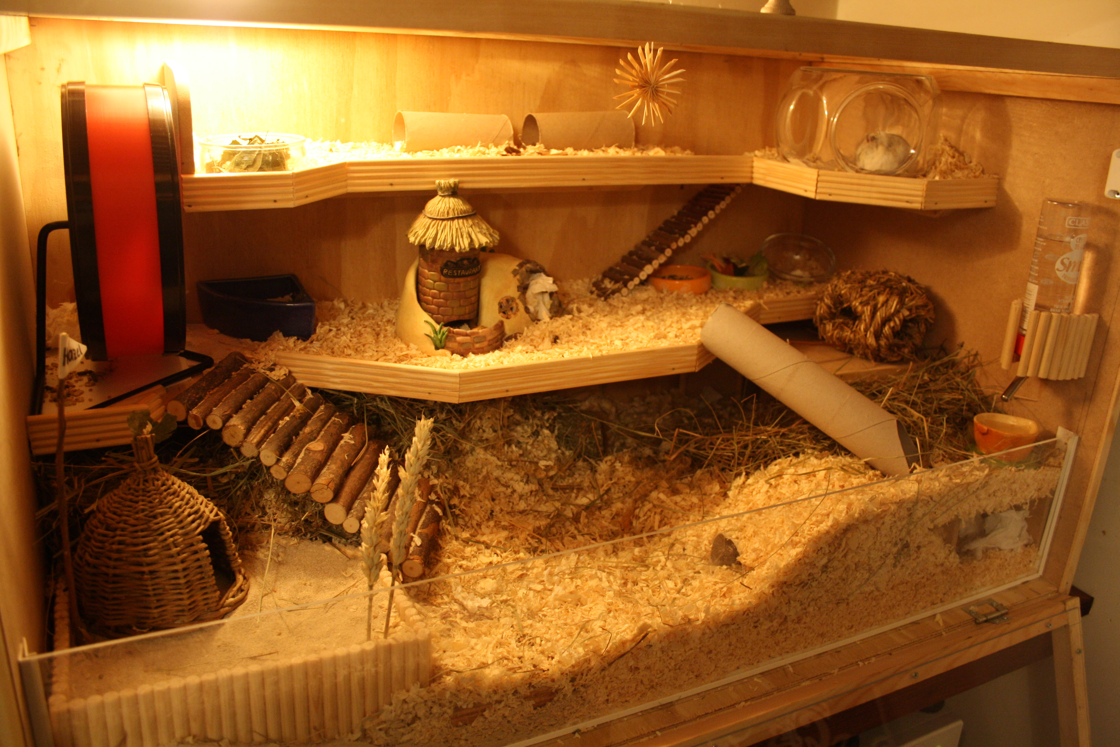 Hazel’s cage. Can you find her in the picture?