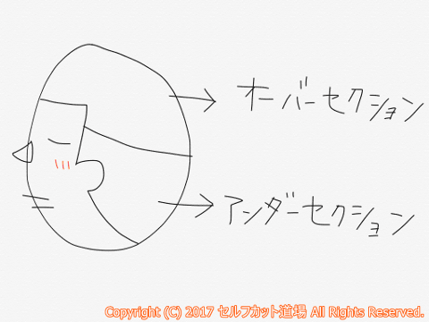 セルフカット ツーブロックの切り方3step