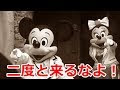 【ベストコレクション】 ��ィズニー シー 芸能人 362318