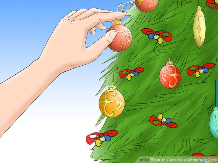 Care for a Christmas Tree Step 8.jpg