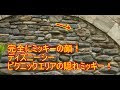 ++ 50 ++ ディズニー 隠れミッキー 場所 868581-ディズニー 隠れミッキー 場所