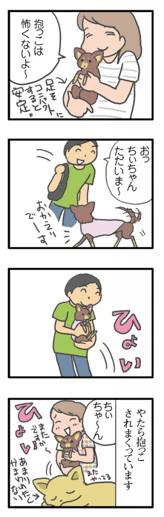 ちぃ学習中 抱っこ編 ガウリン福と保護犬ちぃ 吠え老犬日記